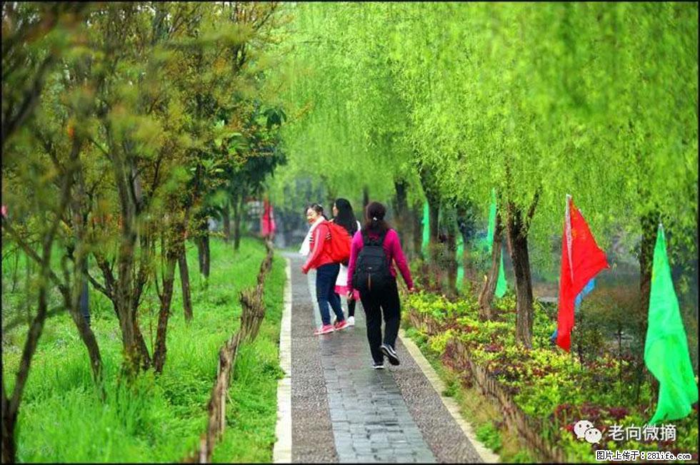 【春天,广西桂林灌阳县向您发出邀请!】江口老街又逢春 - 游山玩水 - 六安生活社区 - 六安28生活网 la.28life.com