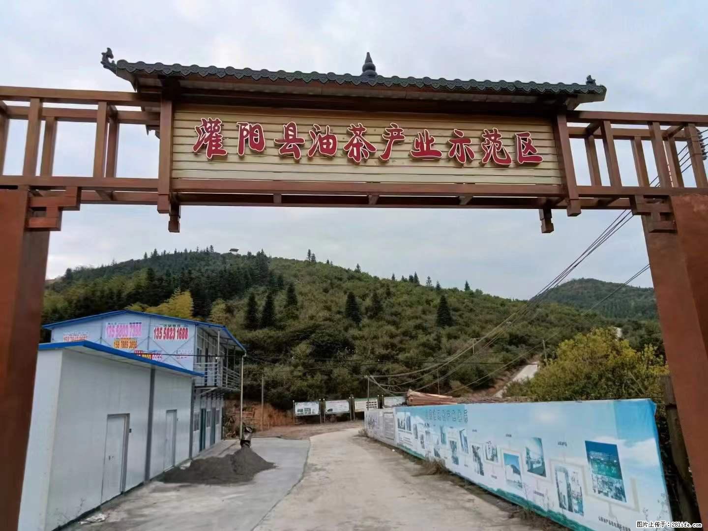 【灌阳县油茶产业示范区】一个有着充实的精神生活的人,对待身外之物自会有一种淡泊的态度 - 土特产 - 饮食特产 - 六安分类信息 - 六安28生活网 la.28life.com