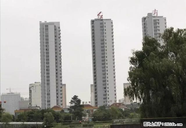 南塔小区、浙东商贸城、金马小区、精装二室一厅、全配 - 房屋出租 - 房屋租售 - 六安分类信息 - 六安28生活网 la.28life.com