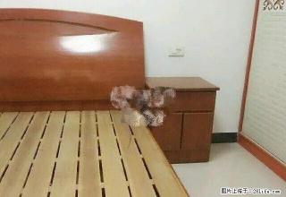 浙东商贸城精装修单身公寓对外出租 - 六安28生活网 la.28life.com