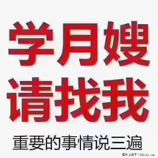 【招聘】月嫂,上海徐汇区 - 六安28生活网 la.28life.com