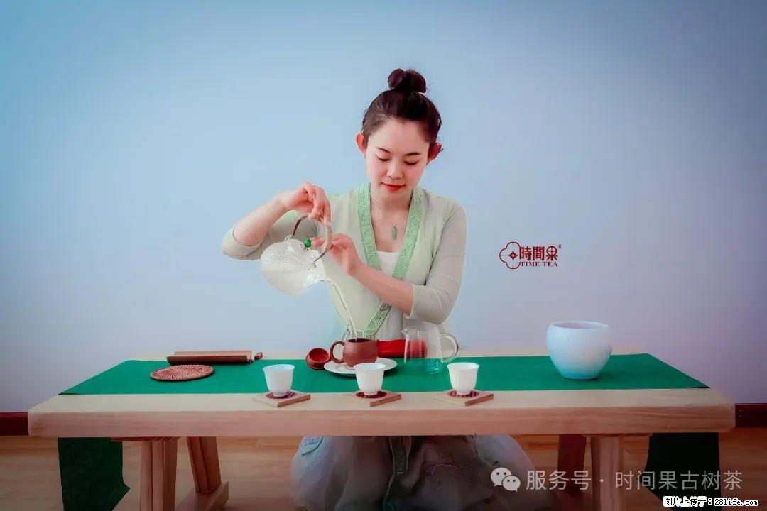 时间果百年古树龙珠普洱生茶 - 购物交流 - 六安生活社区 - 六安28生活网 la.28life.com