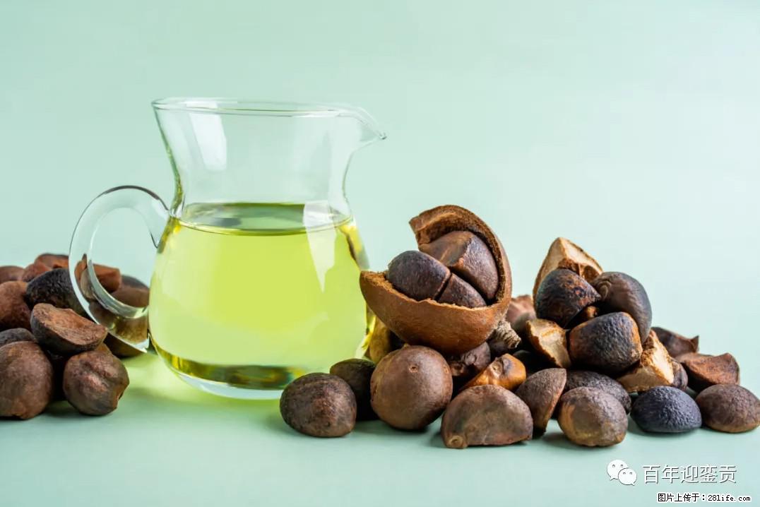 世界没有真相，只有认知，最好的食用油是中国的山茶油！ - 六安生活资讯 - 六安28生活网 la.28life.com