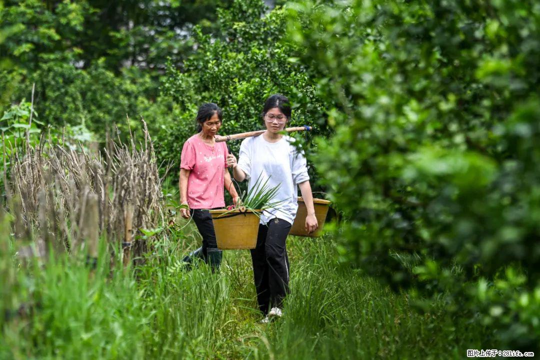 全网追的“扁担女孩”，找了一份暑假工，时薪12元 - 六安生活资讯 - 六安28生活网 la.28life.com