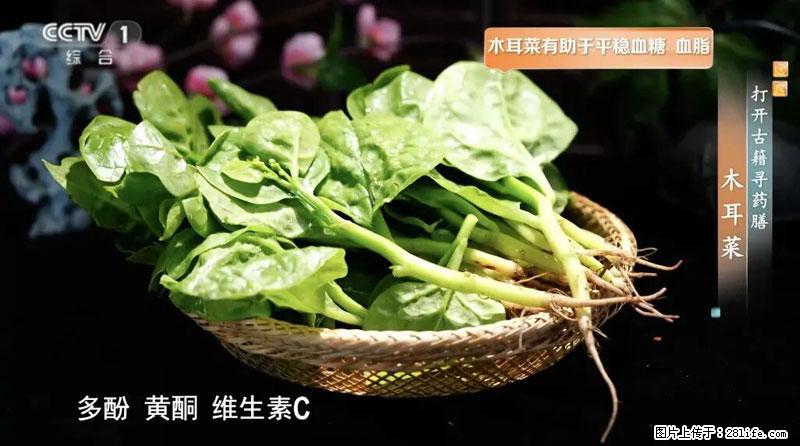 比牛奶补钙还厉害!凉血解毒、稳血糖...这菜冬天必吃,很多人却当草 - 六安生活资讯 - 六安28生活网 la.28life.com