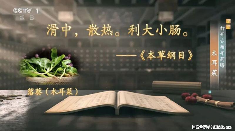 比牛奶补钙还厉害!凉血解毒、稳血糖...这菜冬天必吃,很多人却当草 - 六安生活资讯 - 六安28生活网 la.28life.com