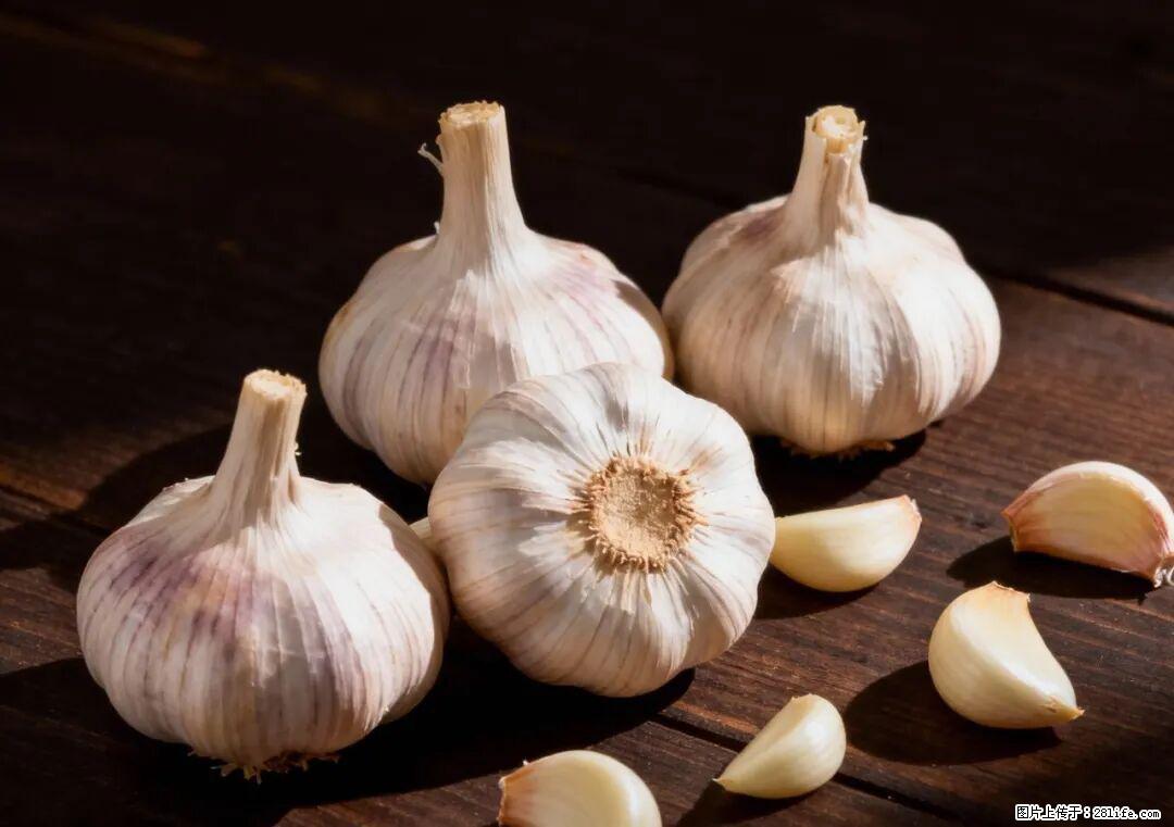 关于大蒜,除了“天然抗生素”,这4个谣言更该警惕! - 六安生活资讯 - 六安28生活网 la.28life.com