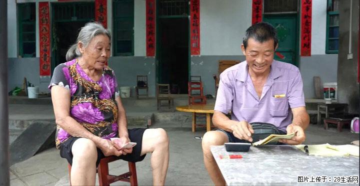 【乡村振兴】广西桂林市灌阳县文市蜂糖李、黄金奈李迎丰产上市季 甜蜜产业助振兴 - 六安生活资讯 - 六安28生活网 la.28life.com